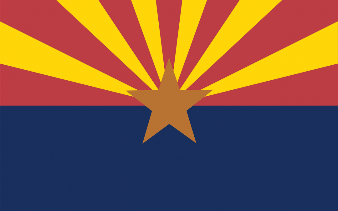 Arizona Vote Check Fails.